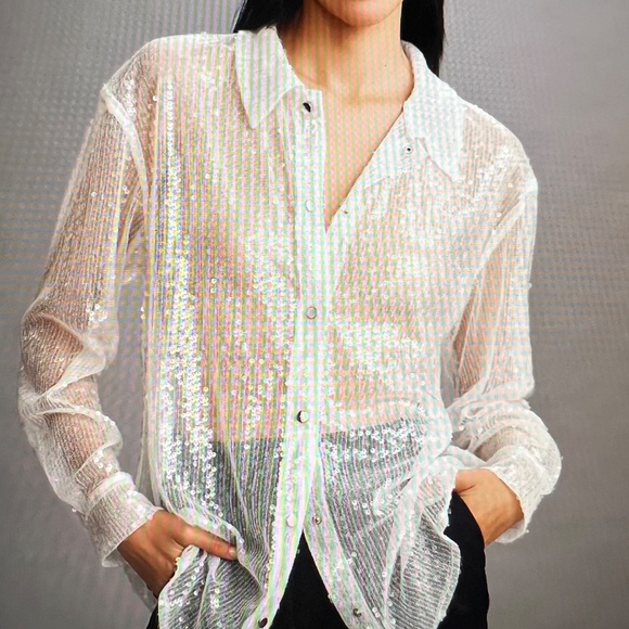 4SI3NNA Long-Sleeve Sequin Buttondown Shirt from Anthropologie - Picture 5 of 6